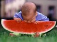 /album/fenykepgaleria/images-1-jpg/